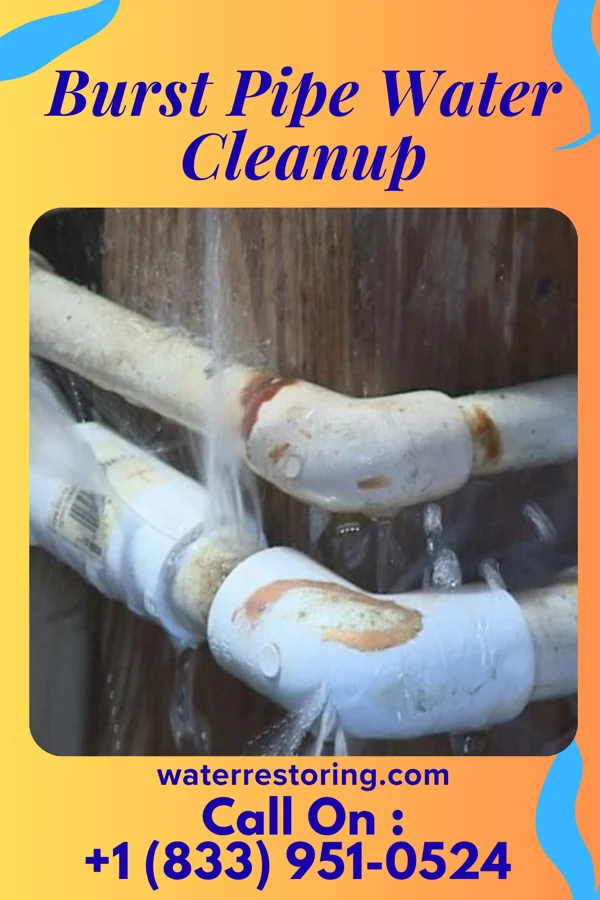 Burst Pipe Water Cleanup in Dexter, MI