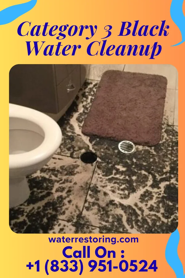 Category 3 Black Water Cleanup in Dexter, MI