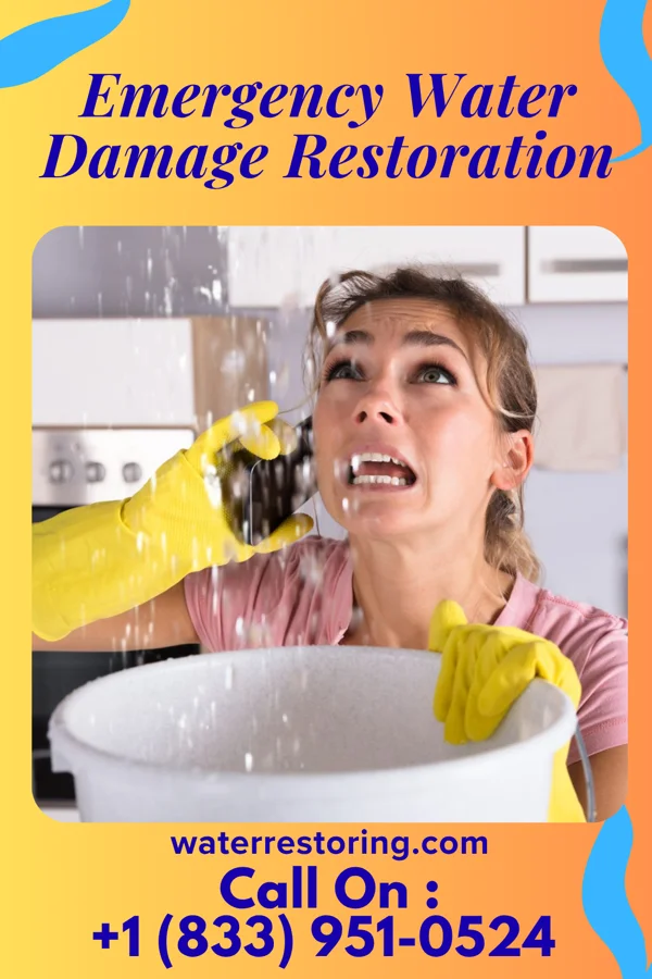 Emergency Water Damage Restoration in Dexter, MI
