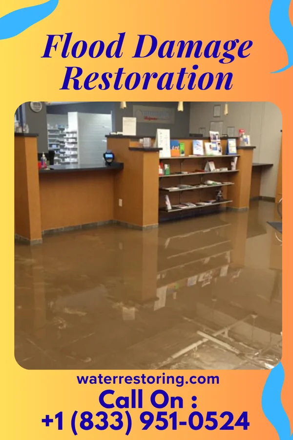 Flood Damage Restoration in Dexter, MI
