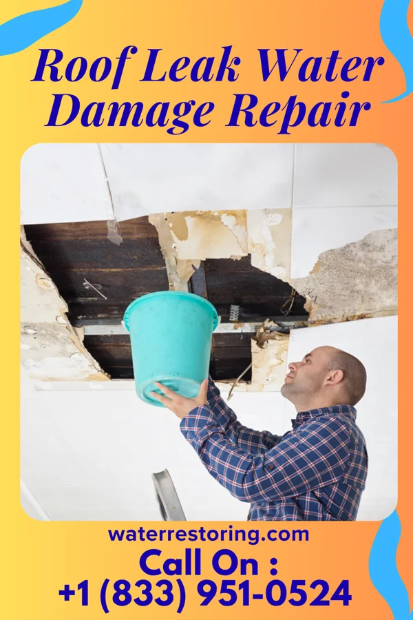 Roof Leak Water Damage Repair in Dexter, MI