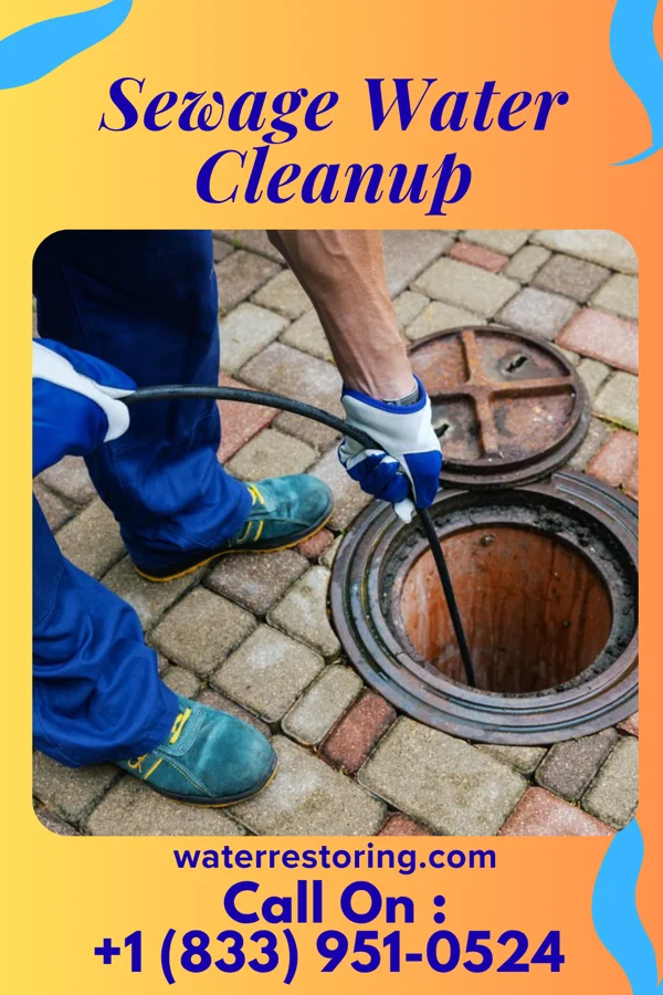 Sewage Water Cleanup in Dexter, MI